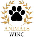 Animalswing.com